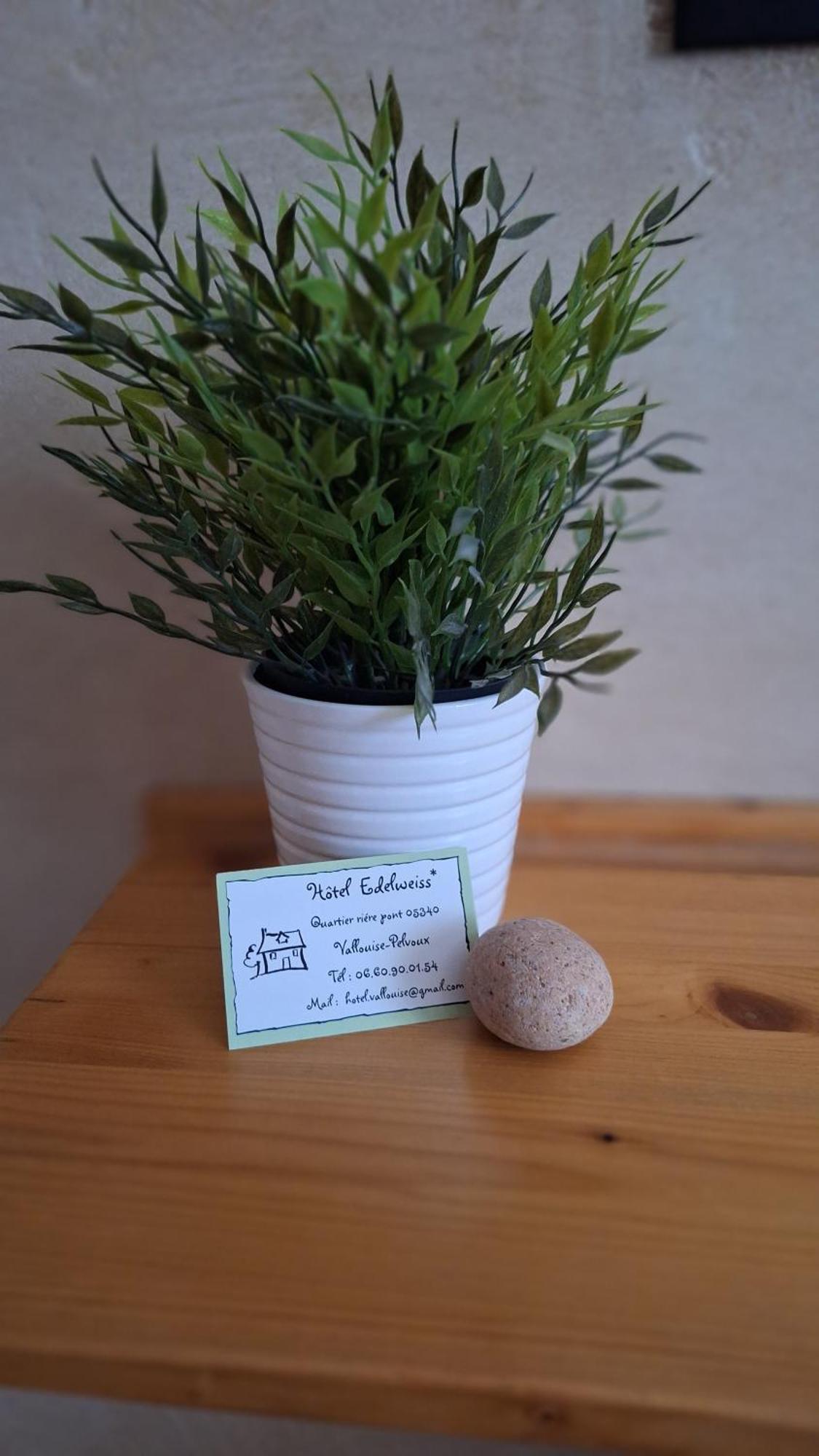 L' Edelweiss B&B Chambres D'Hotes Vallouise Esterno foto